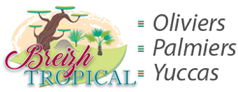 BERTRAND OLLIVIER (BREIZH TROPICAL)