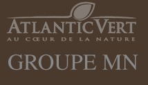 ATLANTIC VERT