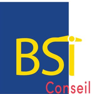 BSI CONSEIL 35