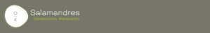 SALAMANDRES IMMOBILIER